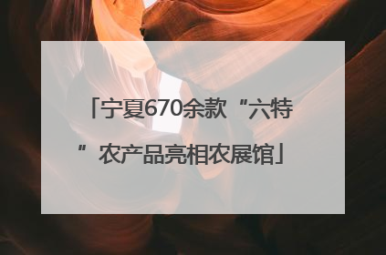 宁夏670余款“六特”农产品亮相农展馆